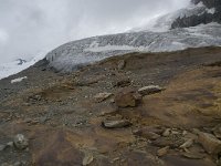 CH, Wallis, Saas Fee, Feegletscher 52, Saxifraga-Willem van Kruijsbergen