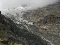 CH, Wallis, Saas Fee, Feegletscher 65, Saxifraga-Willem van Kruijsbergen