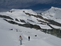 CH, Wallis, Saas Fee, Felskinn 16, Saxifraga-Willem van Kruijsbergen