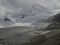 CH, Wallis, Saas Fee, Langflue 2, Saxifraga-Willem van Kruijsbergen