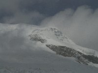 CH, Wallis, Saas Fee, Mittelallalin 5, Saxifraga-Willem van Kruijsbergen