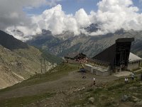 CH, Wallis, Saas Fee, Spielboden 1, Saxifraga-Willem van Kruijsbergen