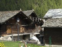 CH, Wallis, Saas Grund, Bidermatten 4, Saxifraga-Willem van Kruijsbergen