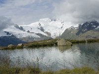 CH, Wallis, Saas Grund, Hannig 7, Saxifraga-Willem van Kruijsbergen