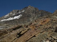 CH, Wallis, Saas Grund, Hohsaas, Lagginhorn 5, Saxifraga-Willem van Kruijsbergen