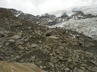 CH, Wallis, Saas Grund, Hohsaas, Triftgletscher 43, Saxifraga-Willem van Kruijsbergen