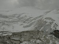 CH, Wallis, Saas Grund, Hohsaas, Weissmies-Triftgletscher 10, Saxifraga-Willem van Kruijsbergen