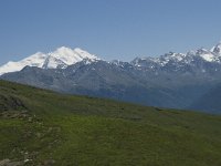 CH, Wallis, Saas Grund, Taschhorn 1, Saxifraga-Willem van Kruijsbergen