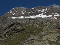 CH, Wallis, Saas Grund, Weissmieshuette 7, Saxifraga-Willem van Kruijsbergen