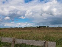 Fence  Fence in dutch agricultural protected area : Netherlands, Zuidlaardermeer, beschermd, biotoop, blue, country, countryside, creative nature, dutch, environment, farm, fence, field, gras, grass, green, hek, holland, landscape, landschap, lente, meadow, meadow bird, meadow birds, natura 2000, natural, nature, nature conservation, nature reserve, natuur, natuurbeheer, natuurbeleid, natuurgebied, nederland, omgeving, onnerpolder, oostpolder, protected habitat, rudmer zwerver, rural, scenery, sky, sping, spring, springtime, summer, voorjaar, weidevogel, weidevogelbeheer, weidevogelbescherming, weidevogels, weiland, white, zomer, zuidlaren