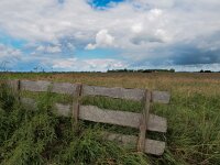 Fence in nature reserve  Fence in nature reserve with clouded summer sky : Netherlands, Zuidlaardermeer, beschermd, biotoop, blue, country, countryside, creative nature, dutch, environment, farm, fence, field, gras, grass, green, hek, holland, landscape, landschap, lente, meadow, meadow bird, meadow birds, natura 2000, natural, nature, nature conservation, nature reserve, natuur, natuurbeheer, natuurbeleid, natuurgebied, nederland, omgeving, onnerpolder, oostpolder, protected habitat, rudmer zwerver, rural, scenery, sky, sping, spring, springtime, summer, voorjaar, weidevogel, weidevogelbeheer, weidevogelbescherming, weidevogels, weiland, white, zomer, zuidlaren