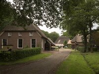 Historic farm houses in Dutch museum village Orvelte, Drenthe, Netherlands  Historic farm houses in Dutch museum village Orvelte, Drenthe, Netherlands : museum, village, Orvelte, Drenthe, Netherlands, history, Dutch culture, farm, farm house, museum village, historic, famous place, street, road, tree