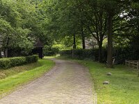 Street in Dutch museum village Orvelte, Drenthe, Netherlands  Street in Dutch historic village Orvelte, Drenthe, Netherlands : street, road, clinker, brick, nobody, no people, grass, trees, Dutch, museum village, village, Orvelte, Drenthe, Netherlands