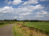 NL, Drenthe, Westerveld, Lheebroek 2, Saxifraga-Roel-Meijer
