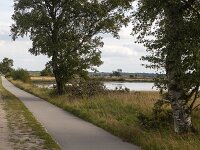 Straigth cycling path in Dwingelderveld National Park, Drenthe, Netherlands  Straigth cycling path in Dwingelderveld National Park, Drenthe, Netherlands : straigth, cycling, track, cycling path Dwingelderveld National Park, national park, np, nature protection, protected area, nature, natural, rural, landscape, rural landscape, rural scene, non-urban landscape, non-urban scene, outside, outdoor, outdoors, no people, nobody, summer, summertime, tree, pool, Drenthe, Netherlands, Dutch, Europe, european, mere