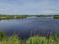Typical open wide lake district  of Dutch province Friesland, Netherland  Typical open wide lake district  of Dutch province Friesland, Netherland : countryside, open wide, room, flat, green, sky, clouds, rural, rural landscape, landscape, non-urban landscape, outside, nature, natural, outdoor, outdoors, no people, nobody, summer, summertime, day, daytime, de veenhoop, smallingerland, friesland, fryslan, netherlands, holland, dutch, europe, european, water, lake, pond, non-urban scene