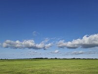 Typical open wide countryside of Dutch province Friesland, Netherlands  Typical open wide countryside of Dutch province Friesland, Netherlands : elahuizen, de friese meren, agricultural, agriculture, clouds, countryside, day, daytime, dutch, europe, european, farmland, flat, friesland, fryslan, green, holland, landscape, meadow, natural, nature, netherlands, nobody, non-urban landscape, open wide, outdoor, outdoors, no people, outside, pasture, room, rural, rural landscape, sky, summer, summertime, non-urban scene