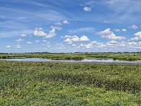 Typical open wide landscape with lake of Dutch province Frieslan  Typical open wide landscape with lake of Dutch province Friesland : countryside, open wide, room, flat, agriculture, agricultural, farmland, green, sky, clouds, meadow, pasture, rural, rural landscape, landscape, non-urban landscape, outside, nature, natural, outdoor, outdoors, no people, nobody, summer, summertime, day, daytime, friesland, fryslan, netherlands, holland, dutch, europe, european, elahuizen, de friese meren, lake, pool, wetland, marsh, reed, non-urban scene