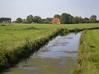 Typical landscape of Dutch province Friesland, with meadows, ditch and farm house  Typical landscape of Dutch province Friesland, with meadows, ditch and farm house : ditch, farm, farmhouse, agriculture, agricultural, tree, trees, countryside, rural, landscape, rural landscape, rural scene, non-urban landscape, non-urban scene, outside, outdoor, outdoors, no people, nobody, season, summer, summertime, spring, springtime, bushes, water, terherne, terhorne, de fryske marren, de friese meren, friesland, fryslan, netherlands, holland, dutch, europe, european, sky, meadow, grass, green, pasture