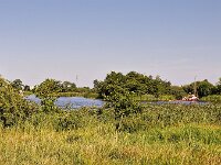 Typical landscape with lake of Dutch province Friesland  Typical landscape with lake of Dutch province Friesland : countryside, green, sky, blue, blue sky, rural, rural landscape, landscape, non-urban landscape, outside, nature, natural, outdoor, outdoors, no people, nobody, summer, summertime, day, daytime, friesland, fryslan, netherlands, holland, dutch, europe, european, terherne, de friese meren, lake, pool, wetland, marsh, reed, non-urban scene, tree, trees, shrub, shrubs, de fryske marren
