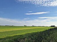 Typical open wide countryside of Dutch province Friesland  Typical open wide landscape of Dutch province Friesland : countryside, open wide, room, flat, agriculture, agricultural, farmland, green, blue sky, white clouds, clouds, meadow, pasture, rural, rural landscape, landscape, non-urban landscape, outside, nature, natural, outdoor, outdoors, no people, nobody, summer, summertime, day, daytime, Oudega, Aldegea, sudwest-fryslan, friesland, fryslan, netherlands, holland, dutch, europe, european, ditch, water, horizon, non-urban scene