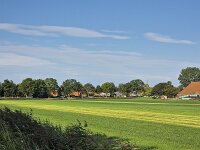 Typical open wide countryside of Dutch province Friesland  Typical open wide landscape of Dutch province Friesland : countryside, open wide, room, flat, agriculture, agricultural, farmland, green, blue sky, white clouds, clouds, meadow, pasture, rural, rural landscape, landscape, non-urban landscape, outside, nature, natural, outdoor, outdoors, no people, nobody, summer, summertime, day, daytime, Oudega, Aldegea, sudwest-fryslan, friesland, fryslan, netherlands, holland, dutch, europe, european, ditch, water, horizon, non-urban scene