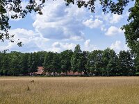Rural landscape in eastern part of Dutch province Gelderland  Rural landscape in eastern part of Dutch province Gelderland : Winterswijk, Netherlands, Dutch, Holland, nature, natural, farm, farmland, grass, grassy, grassland, field, tree, trees, rural landscape, landscape, rural scene, non-urban landscape, non-urban scene, outside, outdoor, outdoors, no people, nobody, summer, summertime, cloud, clouds, cloudy, sky, skyscape, blue, Achterhoek, Gelderland