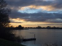 NL, Gelderland, Zaltbommel, Poederoijen, Afgedamde Maas 5, Saxifraga-Roel Meijer : Dutch, jetty, Meuse, morning, river, riverscape, rural landscape, sunrise
