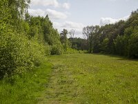 Restored landscape around Dutch river Ruiten Aa; Sellingen, Groningen, Netherlands  Restored landscape around Dutch river Ruiten Aa; Sellingen, Groningen, Netherlands : nature restoration, landscape restoration, restored, river, brook, ruiten aa, water, stream, tree, trees, wetland, countryside, rural, landscape, rural landscape, rural scene, non-urban landscape, non-urban scene, outside, outdoor, outdoors, no people, nobody, summer, summertime, spring, springtime, nature protection, protected area, nature, natural, sellingen, westerwolde, groningen, netherlands, holland, dutch, europe, european, grass, grassland, meadow, pasture