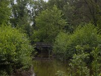 Restored landscape around Dutch river Ruiten Aa; Sellingen, Groningen, Netherlands  Restored landscape around Dutch river Ruiten Aa; Sellingen, Groningen, Netherlands : nature restoration, landscape restoration, restored, river, brook, ruiten aa, water, stream, tree, trees, wetland, countryside, rural, landscape, rural landscape, rural scene, non-urban landscape, non-urban scene, outside, outdoor, outdoors, no people, nobody, summer, summertime, spring, springtime, nature protection, protected area, nature, natural, sellingen, westerwolde, groningen, netherlands, holland, dutch, europe, european