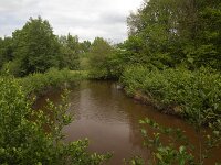 Dutch river Ruiten Aa with rust coloured water due to iron oxide; Sellingen, Groningen, Netherlands  Dutch river Ruiten Aa with rust coloured water due to iron oxide; Sellingen, Groningen, Netherlands : nature restoration, landscape restoration, restored, river, brook, ruiten aa, water, stream, tree, trees, wetland, countryside, rural, landscape, rural landscape, rural scene, non-urban landscape, non-urban scene, outside, outdoor, outdoors, no people, nobody, summer, summertime, spring, springtime, nature protection, protected area, nature, natural, sellingen, westerwolde, groningen, netherlands, holland, dutch, europe, european, rust coloured, iron oxide, brown
