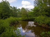 Restored landscape around Dutch river Ruiten Aa; Sellingen, Groningen, Netherlands  Restored landscape around Dutch river Ruiten Aa; Sellingen, Groningen, Netherlands : nature restoration, landscape restoration, restored, river, brook, ruiten aa, water, stream, tree, trees, wetland, countryside, rural, landscape, rural landscape, rural scene, non-urban landscape, non-urban scene, outside, outdoor, outdoors, no people, nobody, summer, summertime, spring, springtime, nature protection, protected area, nature, natural, sellingen, westerwolde, groningen, netherlands, holland, dutch, europe, european
