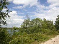 Typical landscape around Lake Reinders in Dutch National Park De Maasduinen; Bergen, Limburg, Netherlands  Typical landscape around Lake Reinders in Dutch National Park De Maasduinen; Bergen, Limburg, Netherlands : National park De Maasduinen, national park, np, Maasduinen, Bergen, Limburg, Netherlands, Dutch, Europe, european, landscape, rural landscape, rural scene, non-urban scene, non-urban landscape, rural, nature reserve, protected area, Natura 2000, nature, natural, spring, springtime, nobody, no people, summer, summertime, lake reinders, reindersmeer, lake, water, tree, trees, cloudy cloudy sky, sky, woodland, forest, sandy, skyscape, sand