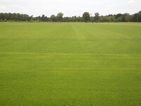 Field to cultivate grass for playing fields  Field to cultivate grass for playing fields : parcel, cultivate, cultivation, cultivating, grow, growing, growth, grass, grassy, sporting field, sporting fields, horticulture, hortcultural, agriculture, agricultural, outdoor, outside, outdoors, field, green, uniform, landscape, nobody, non-urban landscape, non-urban scene, rural, rural landscape, rural scene, summer, summertime, no people