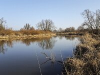 Creek in Biesbosch National Park, Netherlands  Creek in Biesbosch National Park, Netherlands : Biesbosch, creek, Dutch, Europe, European, Gat van de Bakens, Holland, mirroring, National Park, natural, nature, Netherlands, North Brabant, NP, reed, reflection, rural landscape, trees, water, wetland, winter, wintertime