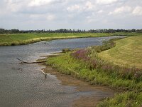 NL, Noord-Brabant, Altena, Witboomkil 1,  Saxifraga-Roel Meijer : Biesbosch, NP, creek, rural landscape, national park, wetland, Natura 2000