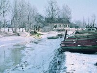 NL, Noord-Brabant, Altena, Hank 1, 1960, Saxifraga-Jules Witlox