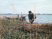 NL, Noord-Brabant, Drimmelen 1, 1960, Saxifraga-Jules Witlox