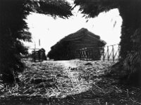 NL, Noord-Brabant, Drimmelen 12, 1960, Saxifraga-Jules Witlox