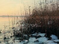 NL, Noord-Brabant, Drimmelen 74, 1960, Saxifraga-Jules Witlox