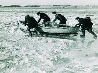NL, Noord-Brabant, Drimmelen, Amer 18, 1960, Saxifraga-Jules Witlox