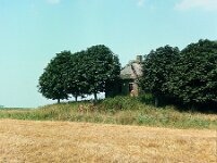 NL, Noord-Brabant, Drimmelen, Annapolder 3, 1960, Saxifraga-Jules Witlox