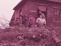NL, Noord-Brabant, Drimmelen, Annapolder 5, 1960, Saxifraga-Jules Witlox