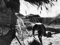 NL, Noord-Brabant, Drimmelen, Brugje van Sint Jan 1, 1960, Saxifraga-Jules Witlox