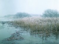 NL, Noord-Brabant, Drimmelen, Gat van de Nieuwe Binnensteek 2, 1960, Saxifraga-Jules Witlox