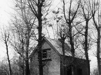 NL, Noord-Brabant, Drimmelen, Gat van den Turfzak 1, 1960, Saxifraga-Jules Witlox