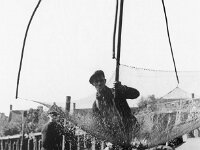 NL, Noord-Brabant, Drimmelen, Haven Lage Zwaluwe 1, 1960, Saxifraga-Jules Witlox