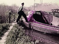 NL, Noord-Brabant, Drimmelen, Hofmansplaat 13, 1960, Saxifraga-Jules Witlox