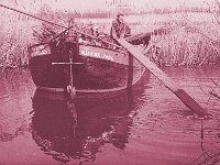 NL, Noord-Brabant, Drimmelen, Hofmansplaat 33, 1960, Saxifraga-Jules Witlox