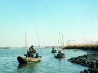 NL, Noord-Brabant, Drimmelen, Noordergat van de Plomp 2, 1960, Saxifraga-Jules Witlox